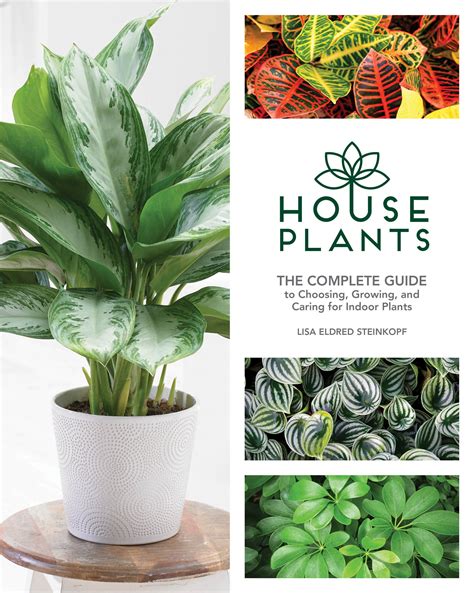 indoor plant care guide pdf